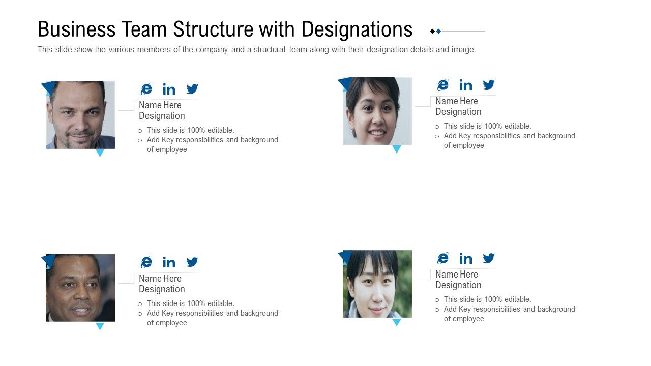 Funding_Deck_To_Raise_Grant_Funds_From_Public_Organizations_Business_Team_Structure_With_Designations_Slides_PDF_Slide_1.jpg