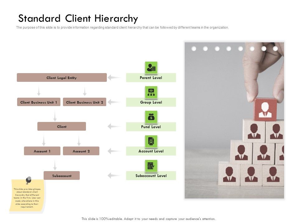Future_Of_Customer_Onboarding_In_Banks_Standard_Client_Hierarchy_Ppt_Gallery_Vector_PDF_Slide_1.jpg