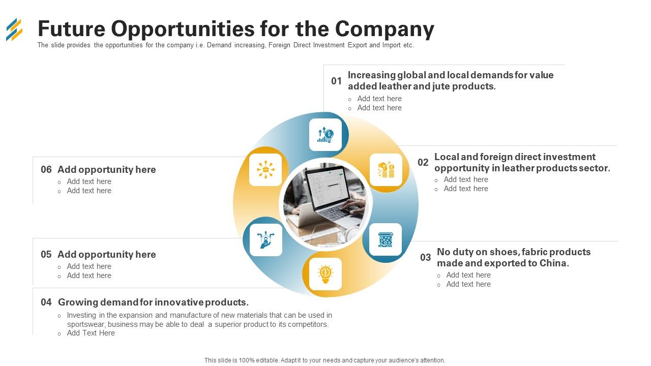 Future_Opportunities_For_The_Company_Ppt_Infographics_Layouts_PDF_Slide_1.jpg