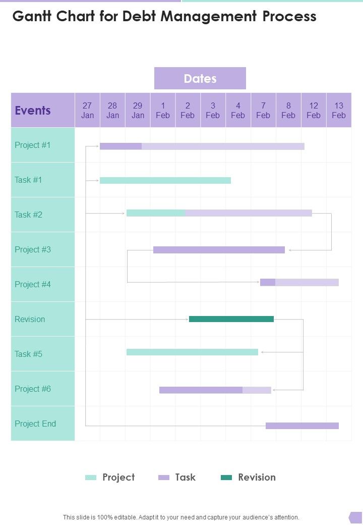 Gantt Chart For Debt Management Process One Pager Sample Example Document Slide01