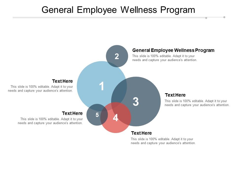 General_Employee_Wellness_Program_Ppt_PowerPoint_Presentation_Summary_Graphics_Example_Slide_1.jpg