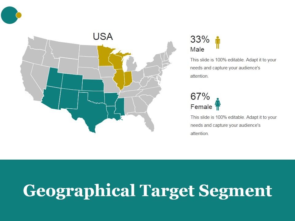 Geographical_Target_Segment_Ppt_PowerPoint_Presentation_Show_Slide_1.jpg