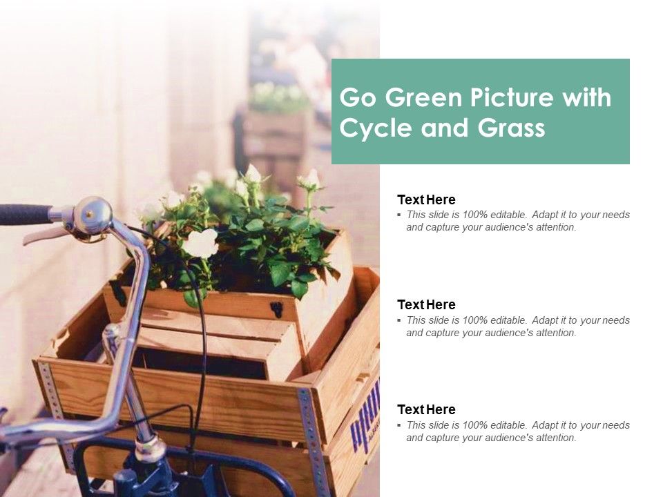 Go_Green_Picture_With_Cycle_And_Grass_Ppt_PowerPoint_Presentation_Styles_Gridlines_Slide_1.jpg