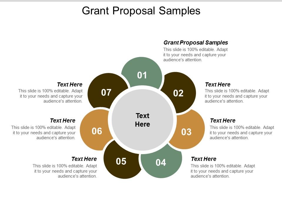 Grant_Proposal_Samples_Ppt_PowerPoint_Presentation_Pictures_Vector_Cpb_Slide_1.jpg