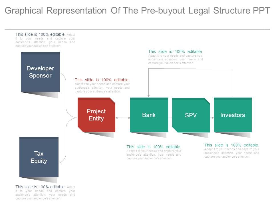 Graphical_Representation_Of_The_Pre_Buyout_Legal_Structure_Ppt_1.jpg