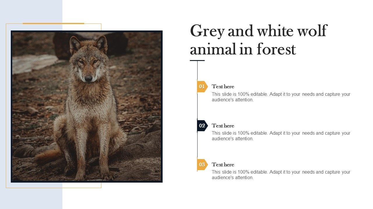 Grey_And_White_Wolf_Animal_In_Forest_Themes_PDF_Slide_1.jpg