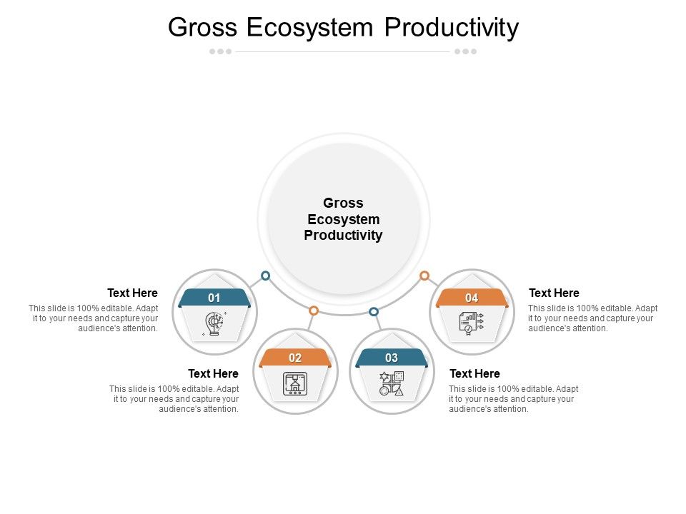Gross_Ecosystem_Productivity_Ppt_PowerPoint_Presentation_Infographics_Vector_Cpb_Pdf_Slide_1.jpg