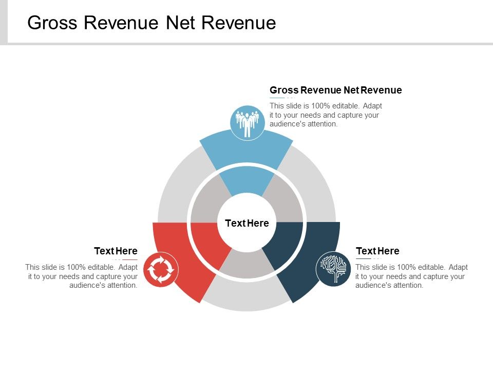 Gross_Revenue_Net_Revenue_Ppt_PowerPoint_Presentation_File_Information_Cpb_Slide_1.jpg