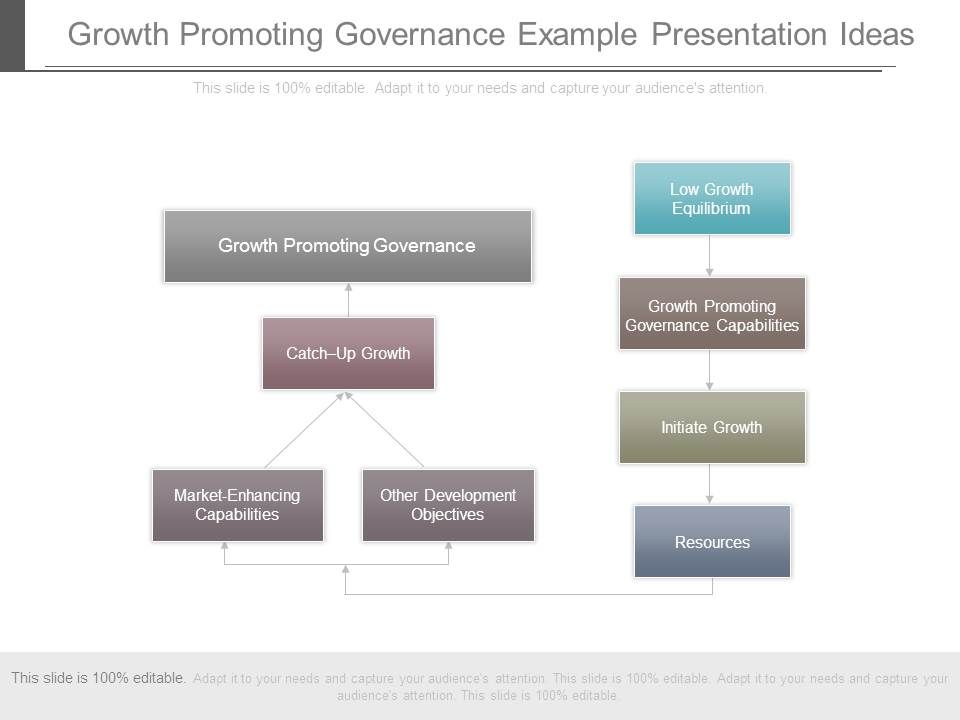 Growth_Promoting_Governance_Example_Presentation_Ideas_1.jpg