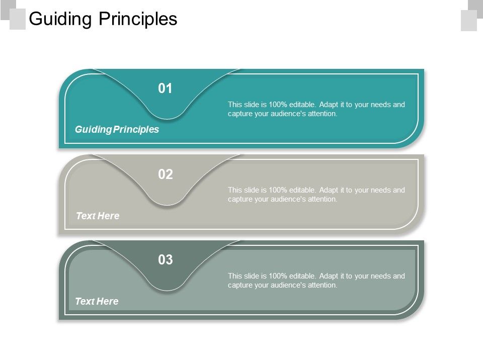 Guiding_Principles_Ppt_PowerPoint_Presentation_Show_Styles_Cpb_Slide_1.jpg