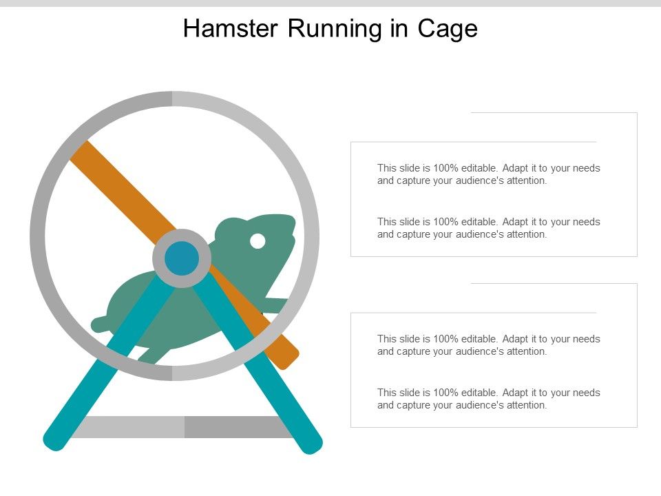 Hamster_Running_In_Cage_Ppt_PowerPoint_Presentation_Infographics_Infographics_Slide_1.jpg