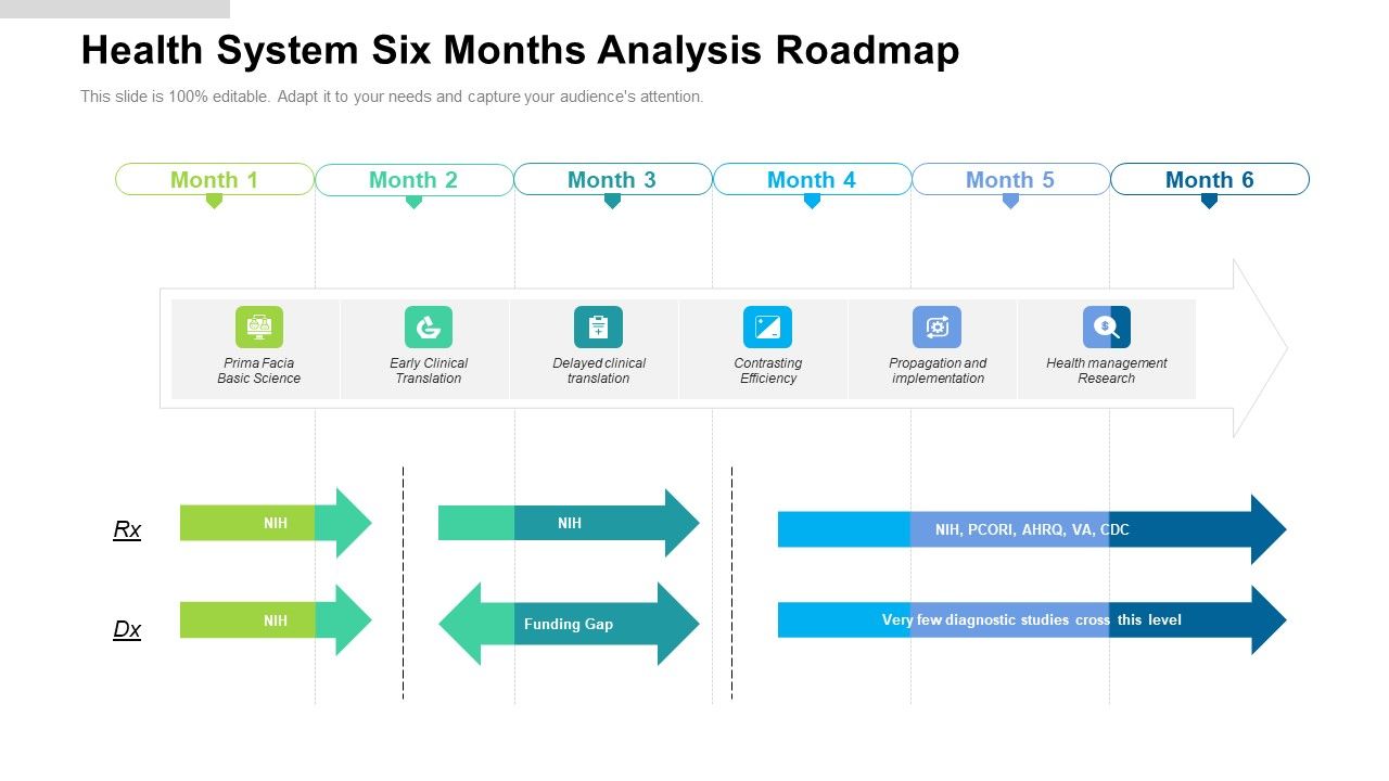 Health_System_Six_Months_Analysis_Roadmap_Infographics_Slide_1.jpg