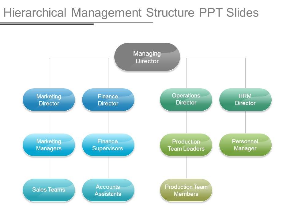 Hierarchical_Management_Structure_Ppt_Slides_1.jpg