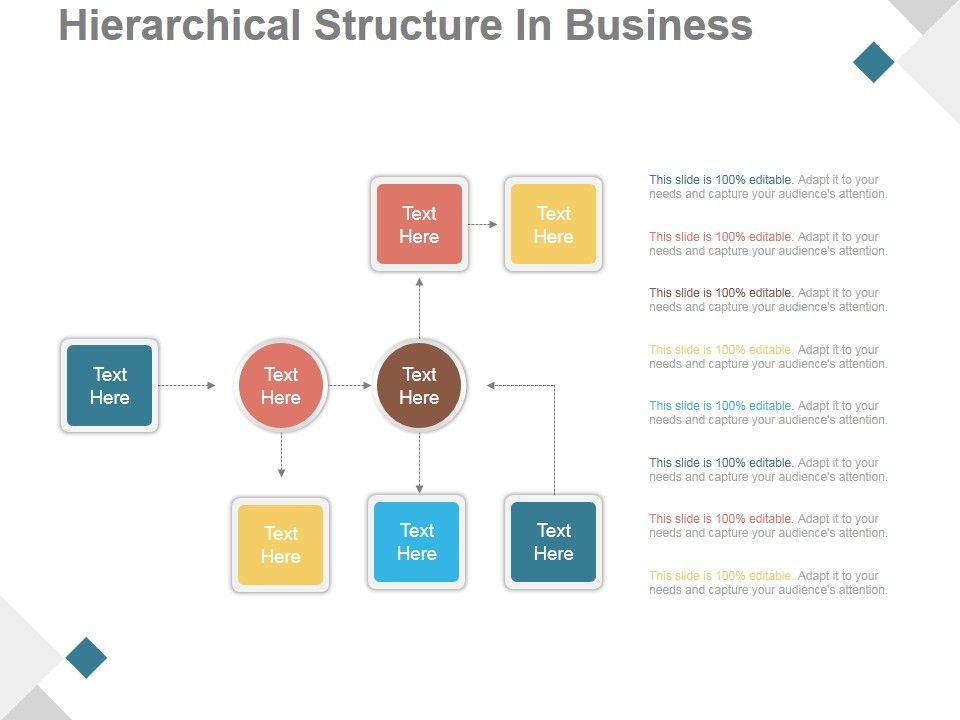 Hierarchical_Structure_In_Business_Ppt_PowerPoint_Presentation_Outline_Slide_1.jpg