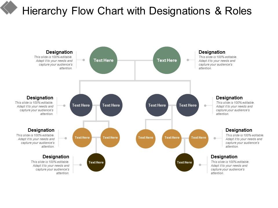 Hierarchy_Flow_Chart_With_Designations_And_Roles_Ppt_PowerPoint_Presentation_Styles_Format_Ideas_Slide_1.jpg