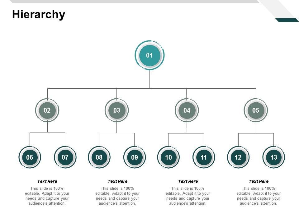 Hierarchy_Management_Ppt_PowerPoint_Presentation_Slides_Design_Ideas_Slide_1.jpg