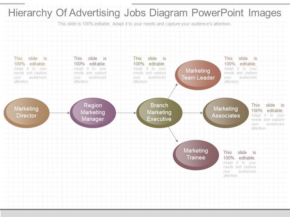Hierarchy_Of_Advertising_Jobs_Diagram_Powerpoint_Images_1.jpg