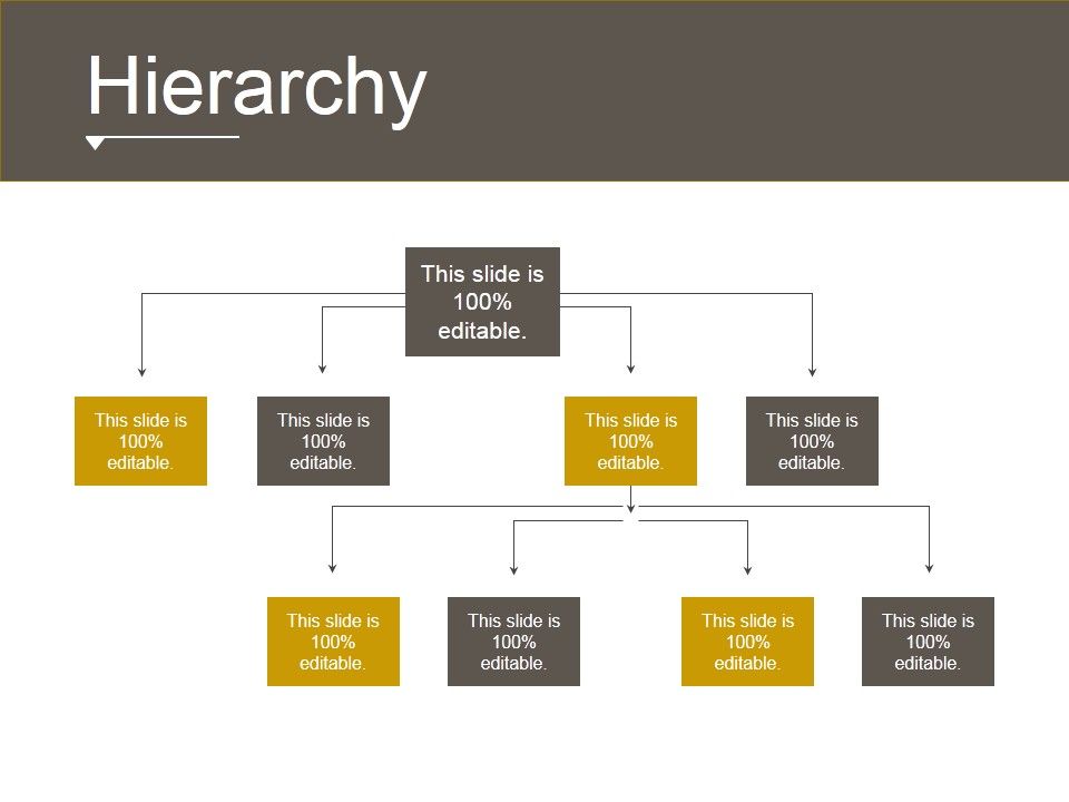 Hierarchy_Ppt_PowerPoint_Presentation_Example_Slide_1.jpg