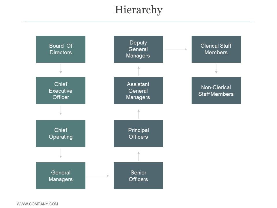 Hierarchy_Ppt_PowerPoint_Presentation_Infographics_Slide_1.jpg