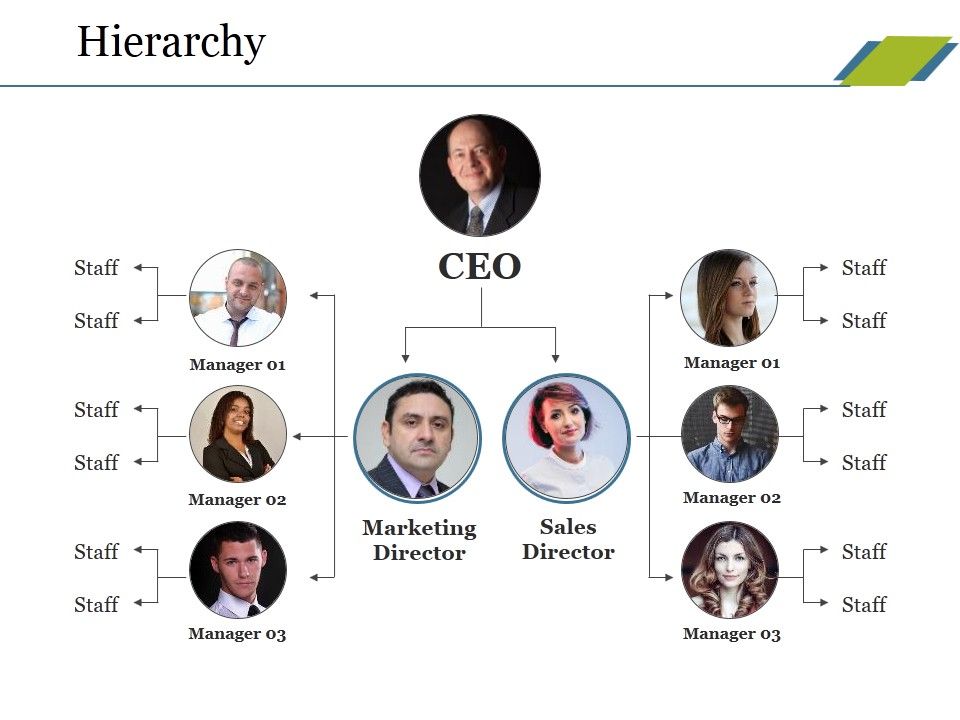 Hierarchy_Ppt_PowerPoint_Presentation_Inspiration_Brochure_Slide_1.jpg