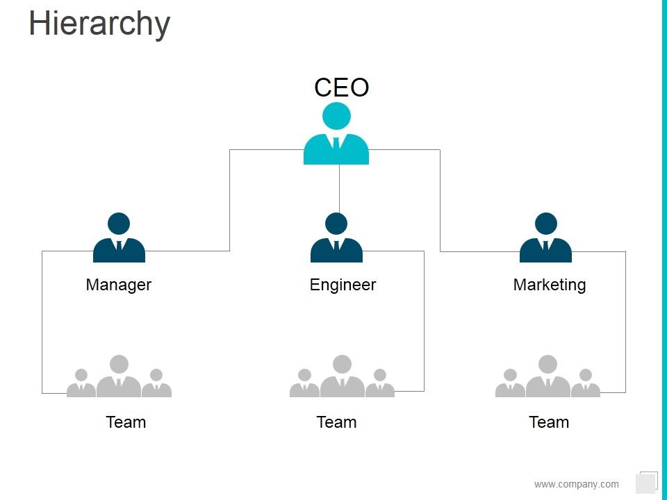 Hierarchy_Ppt_PowerPoint_Presentation_Portfolio_Example_Slide_1.jpg