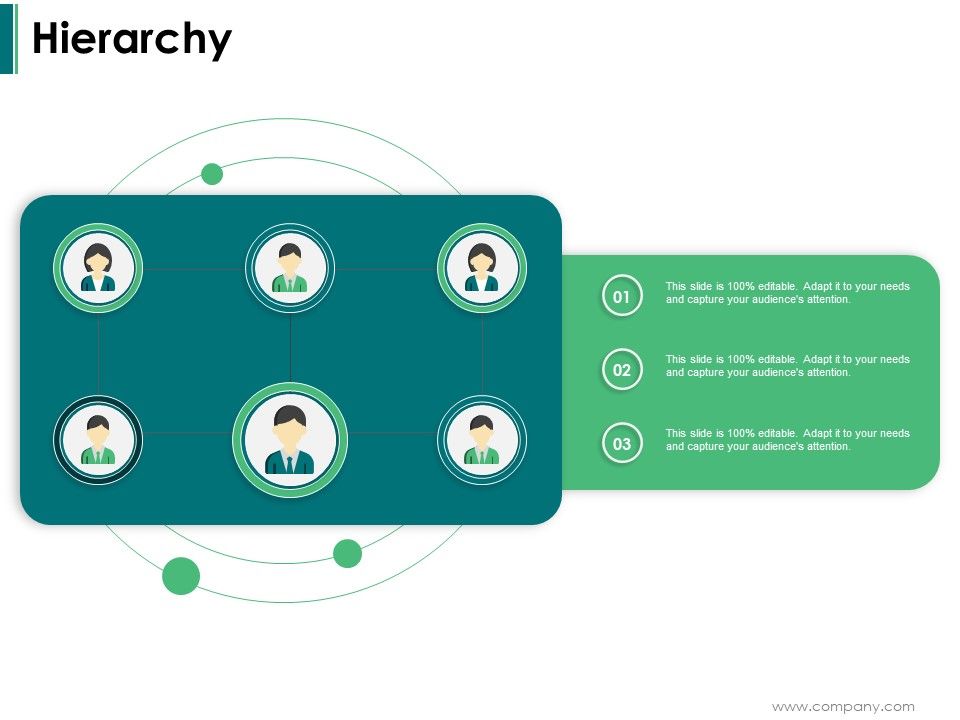 Hierarchy_Ppt_PowerPoint_Presentation_Portfolio_Vector_Slide_1.jpg