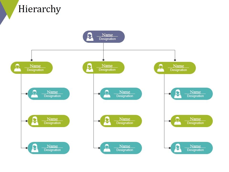 Hierarchy_Ppt_PowerPoint_Presentation_Slides_Aids_Slide_1.jpg