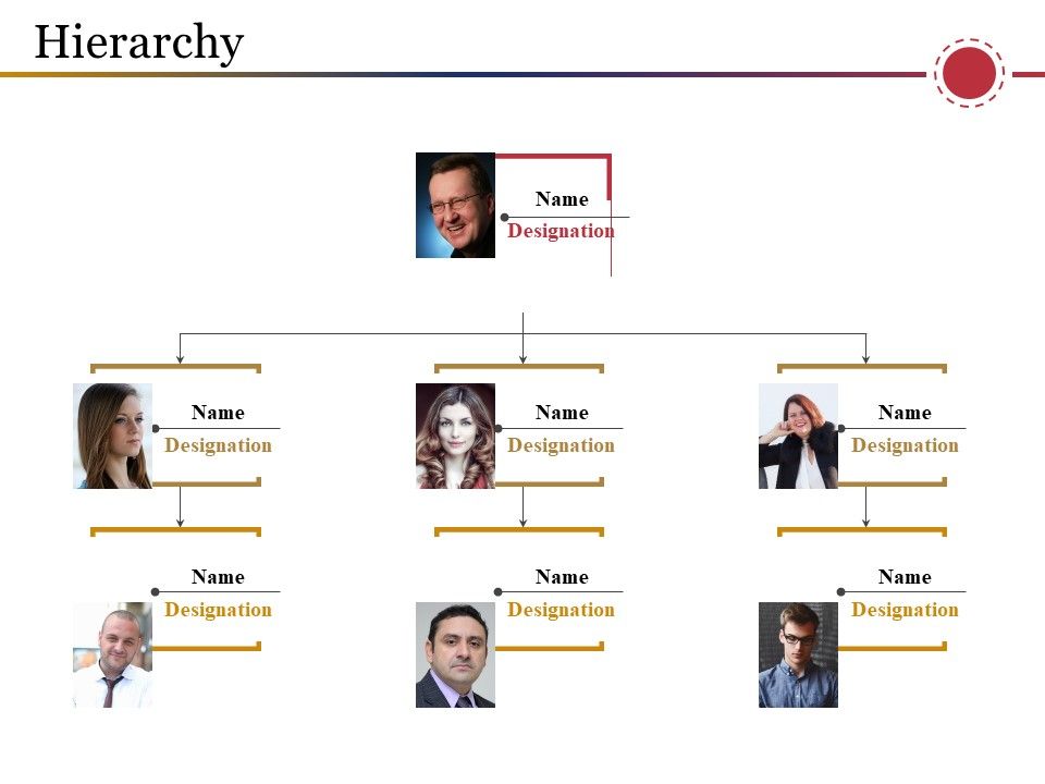 Hierarchy_Ppt_PowerPoint_Presentation_Styles_Slide_Portrait_Slide_1.jpg
