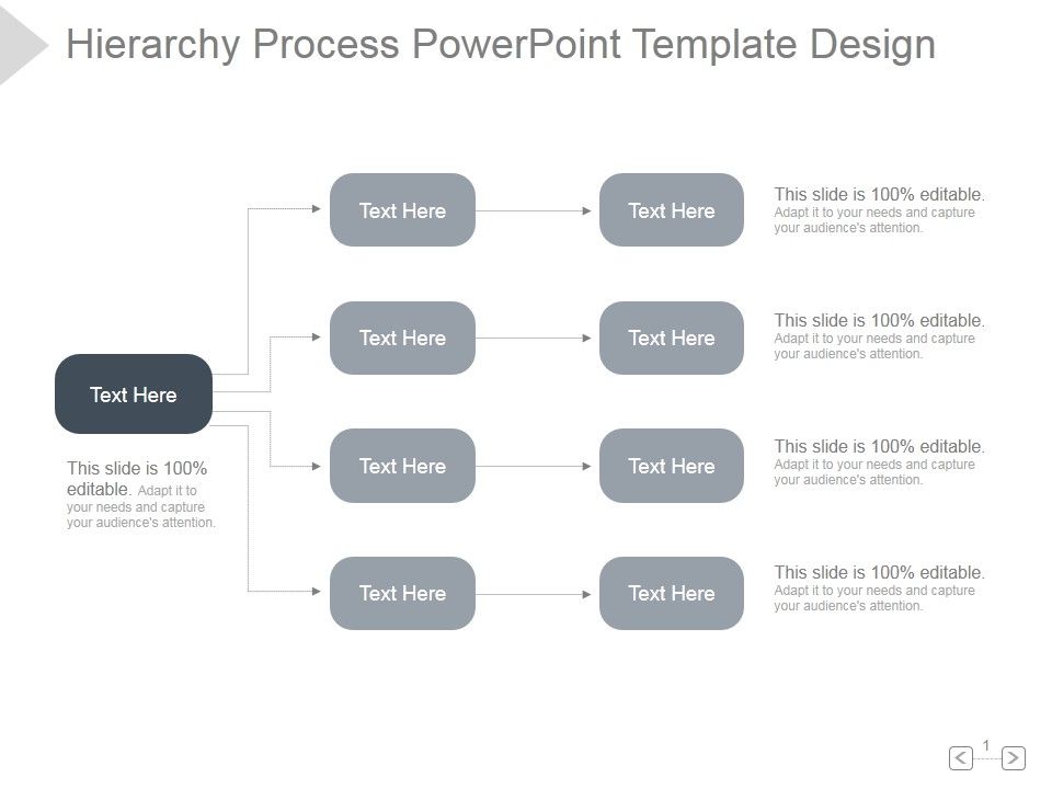 Hierarchy_Process_Ppt_PowerPoint_Presentation_Gallery_Slide_1.jpg