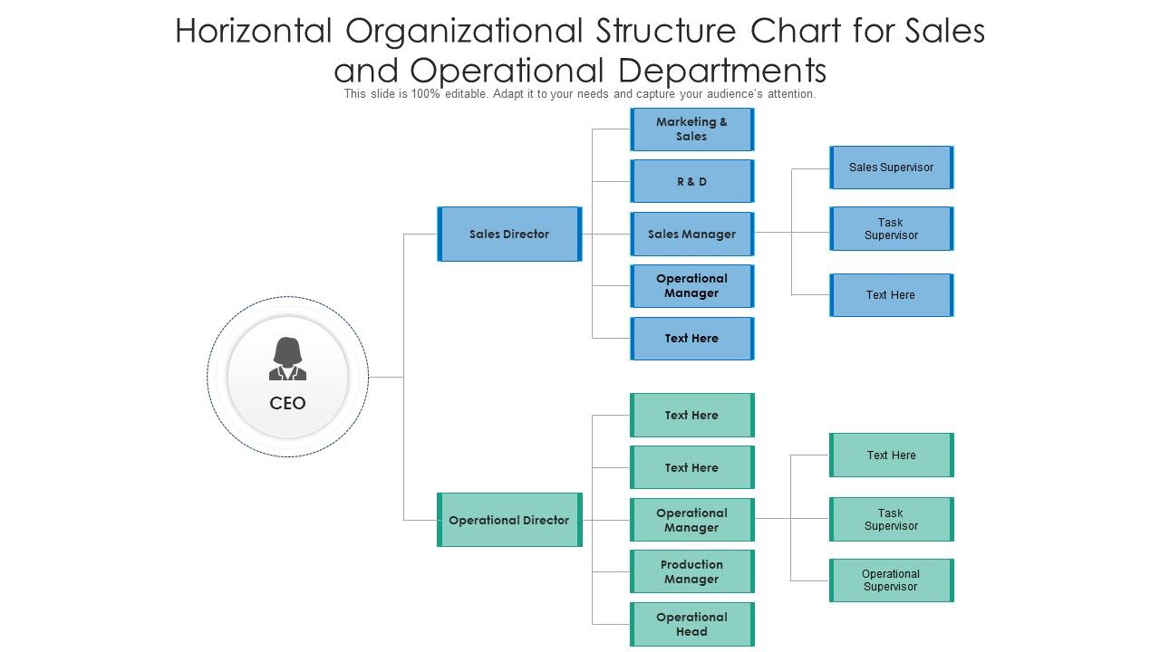 Horizontal_Organizational_Structure_Chart_For_Sales_And_Operational_Departments_Ppt_PowerPoint_Presentation_File_Pictures_PDF_Slide_1.jpg