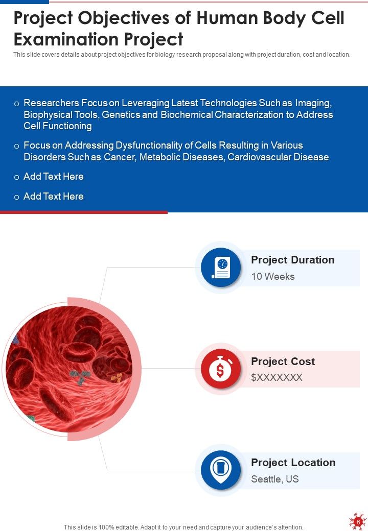 Human Body Cell Examination Project Proposal Example Document Report Doc Pdf Ppt