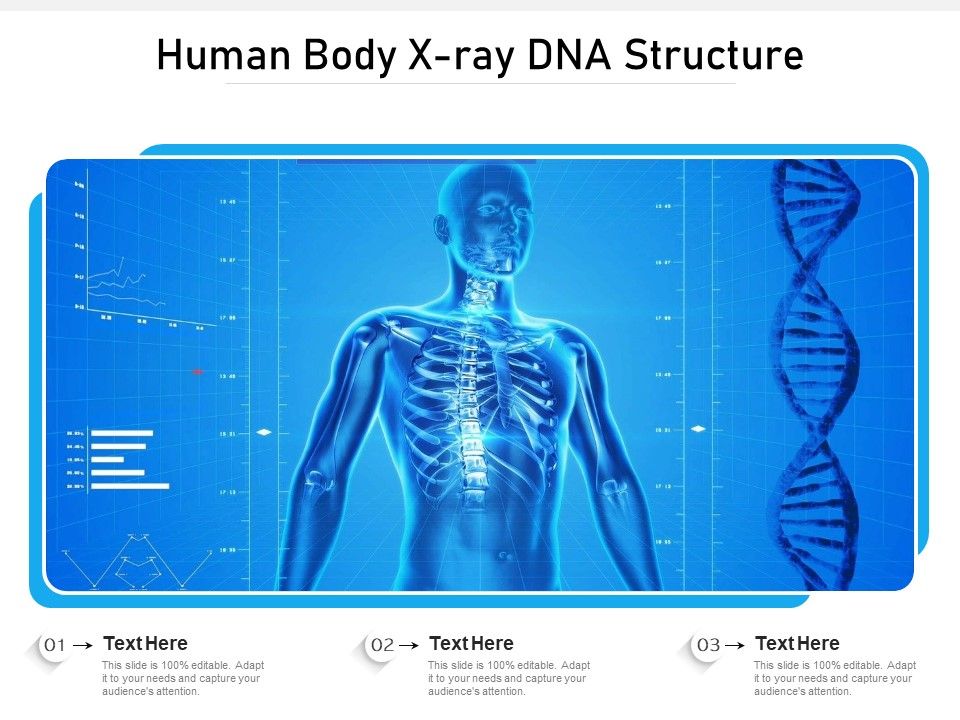 Human_Body_X_Ray_DNA_Structure_Ppt_PowerPoint_Presentation_File_Outline_PDF_Slide_1.jpg