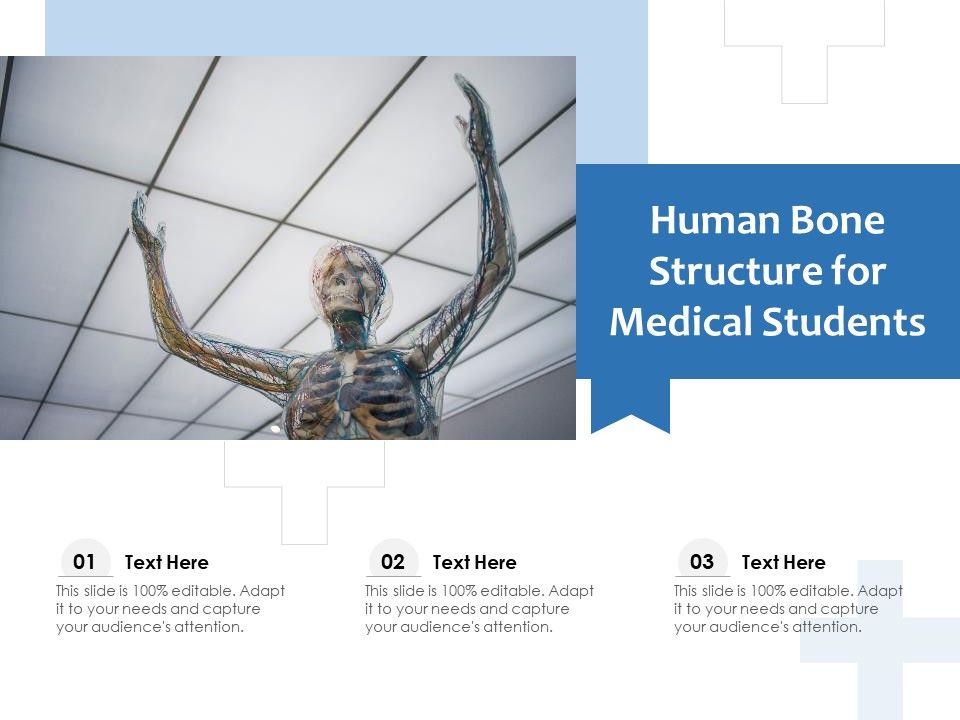 Human_Bone_Structure_For_Medical_Students_Ppt_PowerPoint_Presentation_Styles_Smartart_PDF_Slide_1.jpg