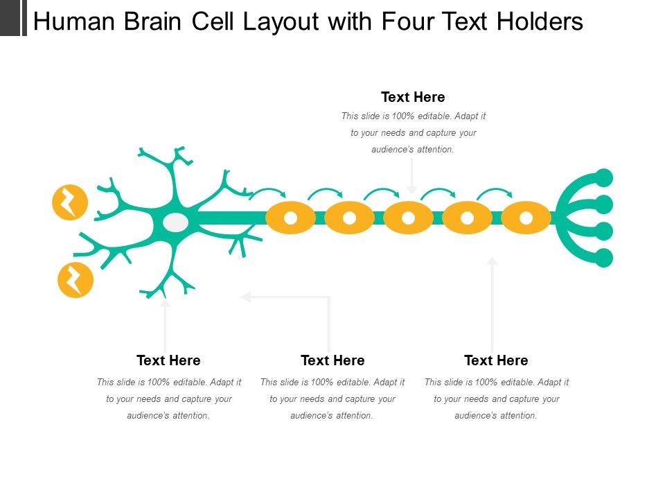 Human_Brain_Cell_Layout_With_Four_Text_Holders_Ppt_PowerPoint_Presentation_Summary_Grid_PDF_Slide_1.jpg