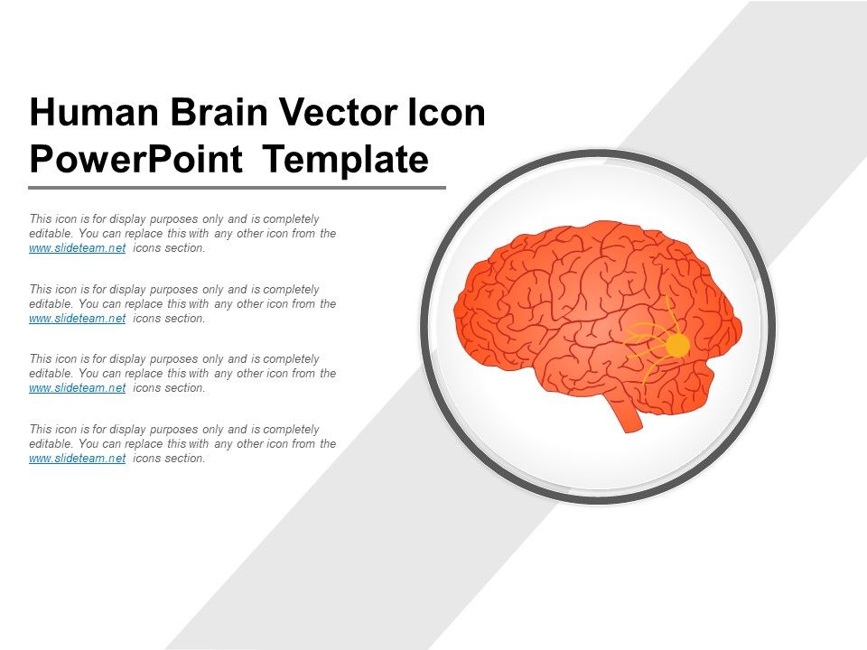 Human_Brain_Vector_Icon_PowerPoint_Template_Ppt_PowerPoint_Presentation_Show_Themes_PDF_Slide_1.jpg