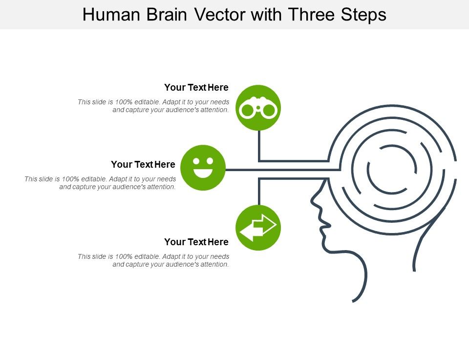 Human_Brain_Vector_With_Three_Steps_Ppt_PowerPoint_Presentation_File_Example_PDF_Slide_1.jpg