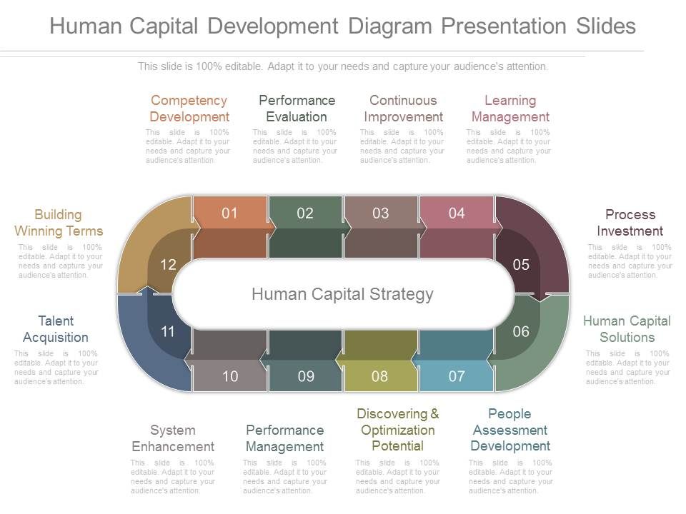 Human_Capital_Development_Diagram_Presentation_Slides_1.jpg