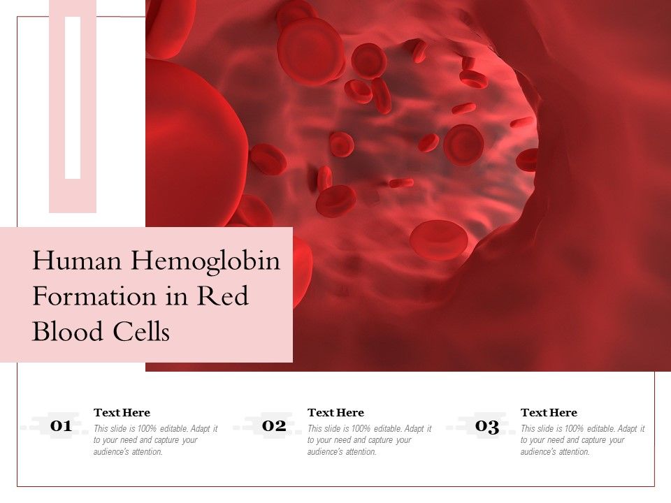 Human_Hemoglobin_Formation_In_Red_Blood_Cells_Ppt_PowerPoint_Presentation_Gallery_Images_PDF_Slide_1.jpg