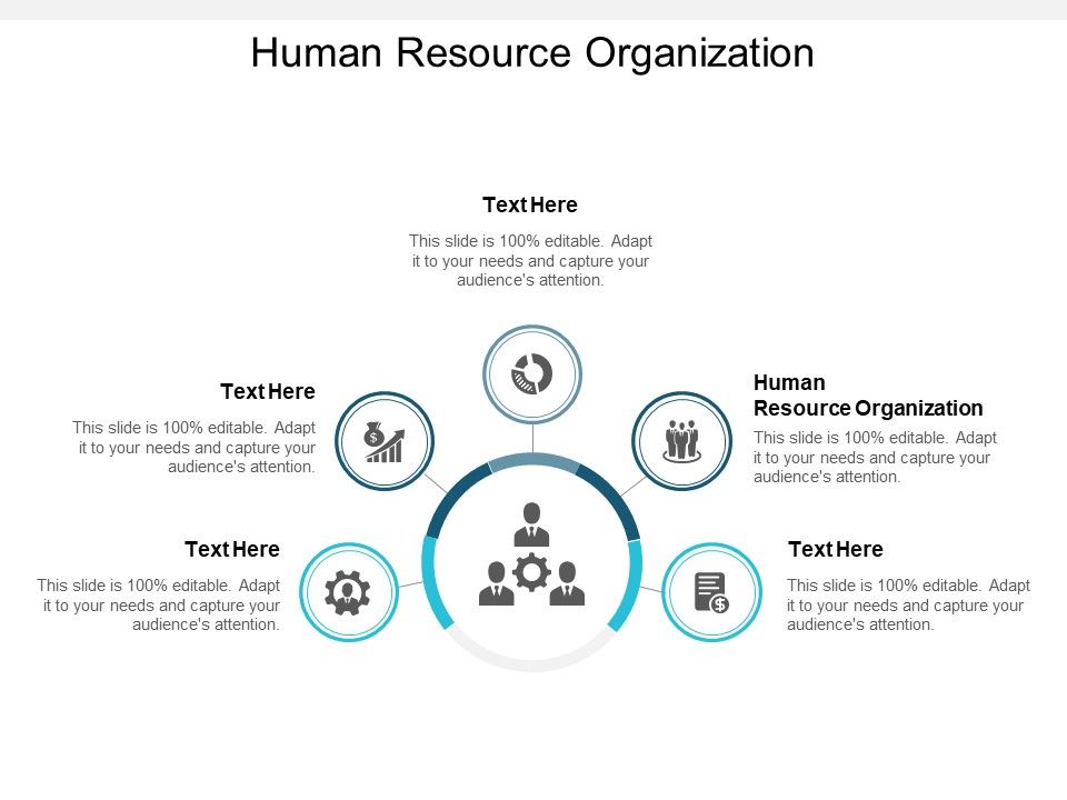 Human_Resource_Organization_Ppt_PowerPoint_Presentation_Layouts_Tips_Cpb_Slide_1.jpg