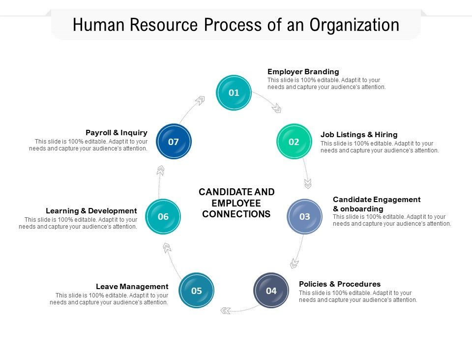 Human_Resource_Process_Of_An_Organization_Ppt_PowerPoint_Presentation_File_Layout_PDF_Slide_1.jpg