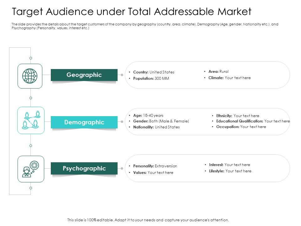 Hybrid_Investment_Pitch_Deck_Target_Audience_Under_Total_Addressable_Market_Ppt_Slides_Graphic_Tips_PDF_Slide_1.jpg