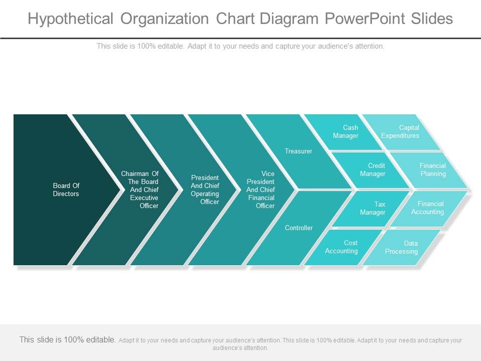 Hypothetical_Organization_Chart_Diagram_Powerpoint_Slides_1.jpg