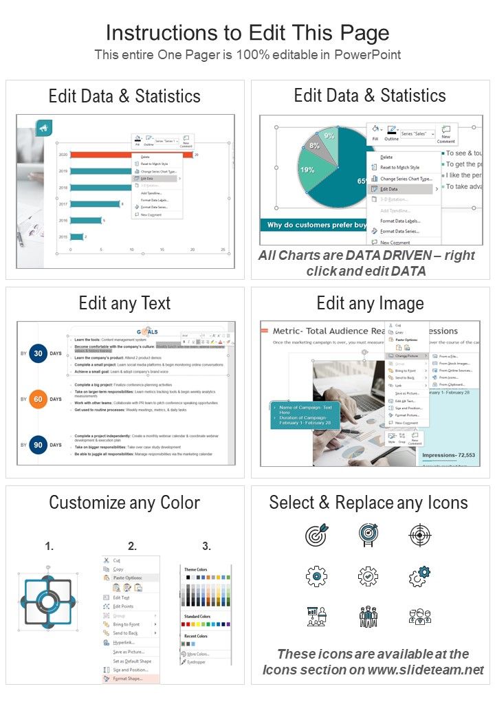IT Project Preliminary Report In One Page PDF Document PPT Template