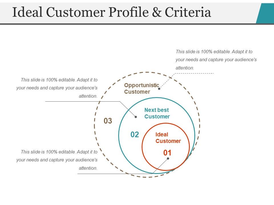 Ideal_Customer_Profile_And_Criteria_Ppt_PowerPoint_Presentation_Gallery_Demonstration_Slide_1.jpg