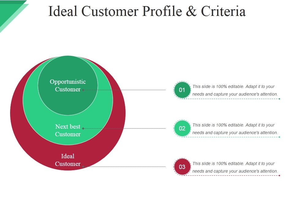Ideal_Customer_Profile_And_Criteria_Ppt_PowerPoint_Presentation_Outline_Examples_Slide_1.jpg