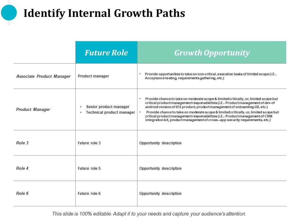 Identify_Internal_Growth_Paths_Ppt_PowerPoint_Presentation_Model_Inspiration_Slide_1.jpg