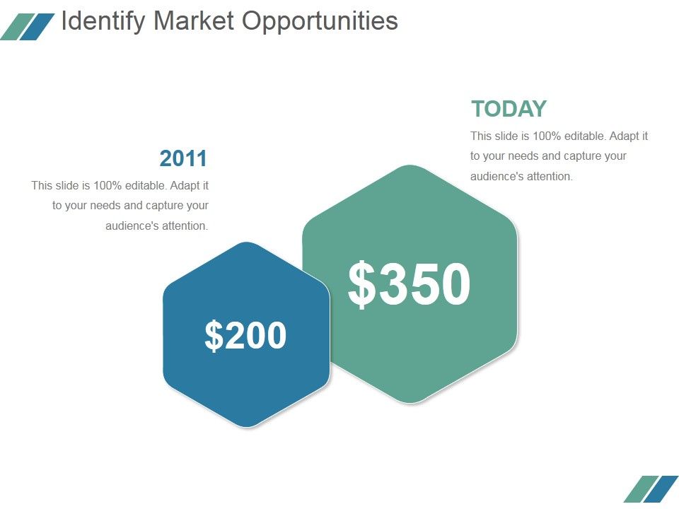 Identify_Market_Opportunities_Ppt_PowerPoint_Presentation_Guidelines_Slide_1.jpg