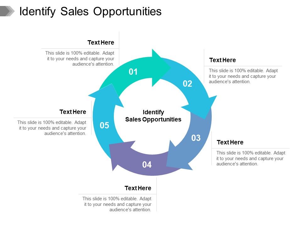 Identify_Sales_Opportunities_Ppt_PowerPoint_Presentation_File_Infographics_Cpb_Pdf_Slide_1.jpg