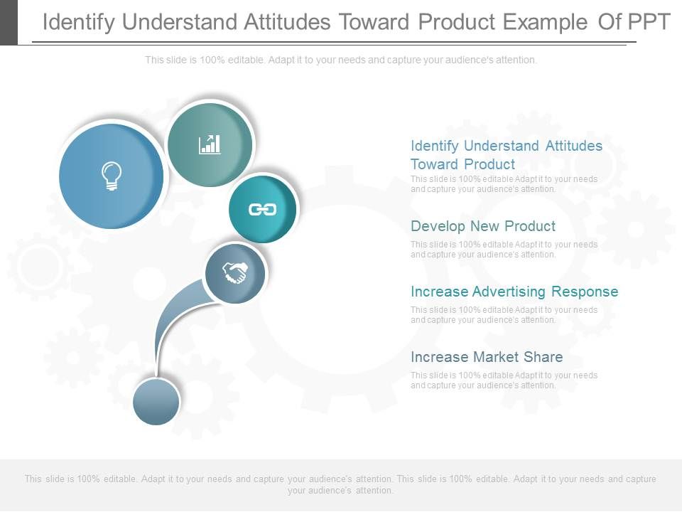 Identify_Understand_Attitudes_Toward_Product_Example_Of_Ppt_1.jpg