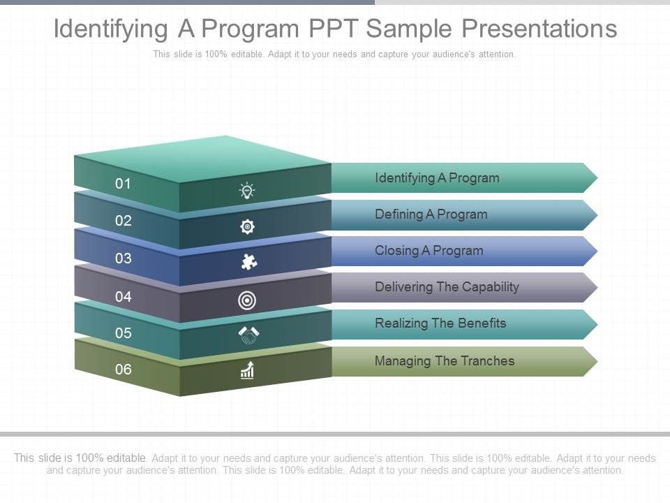 Identifying_A_Program_Ppt_Sample_Presentations_1.jpg